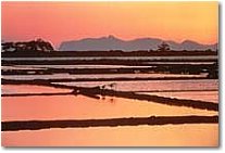 Salt pan in Marsale